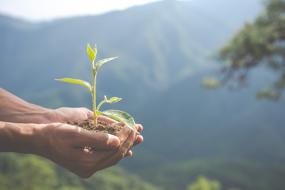 Conserva Ambiental